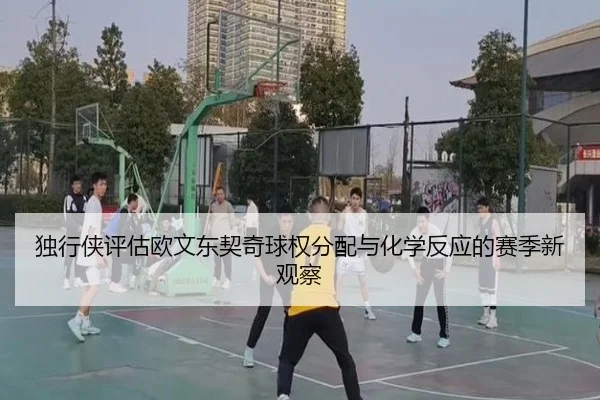 独行侠评估欧文东契奇球权分配与化学反应的赛季新观察